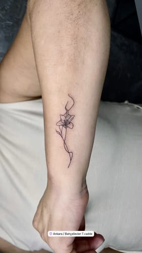Line work — Black Ink Art