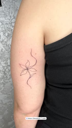 Line work — Black Ink Art
