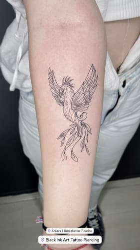 Line work — Black Ink Art
