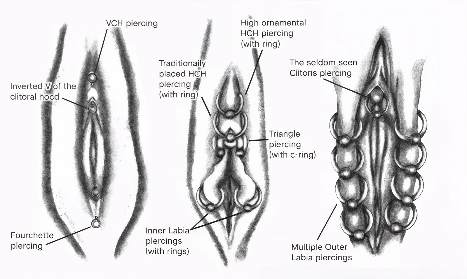 Genital Piercing — nokta şeması